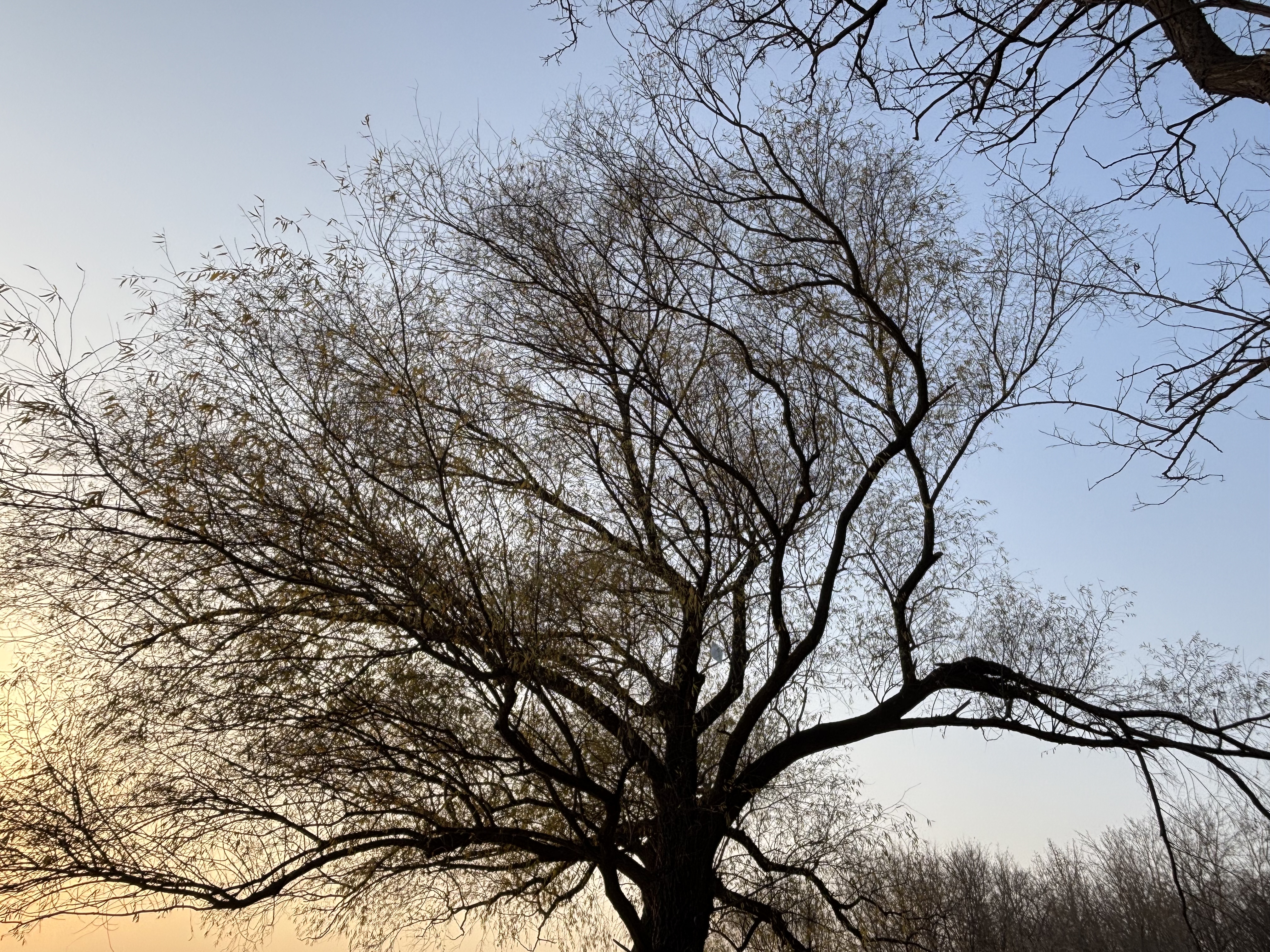 Featured image of post SRE面试题汇总 | Database